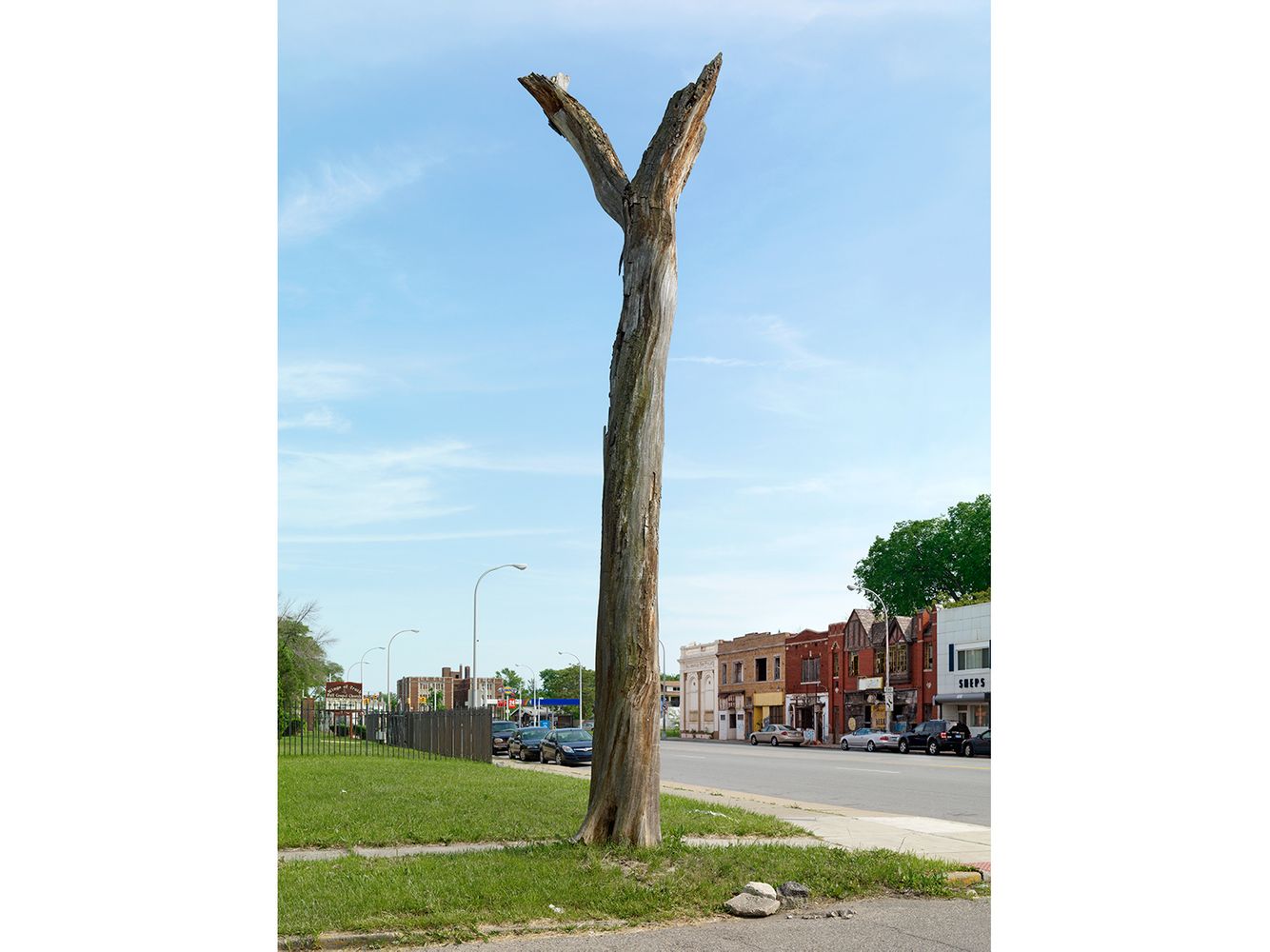 Tree Stump 10, Detroit 2011