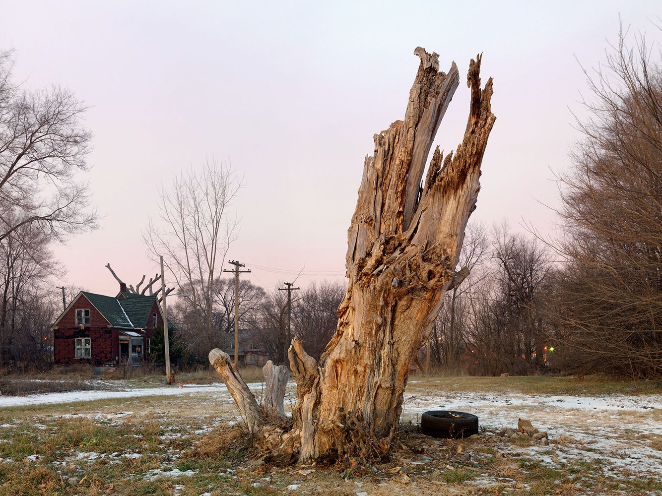 Tree Stump 45, Detroit 2013