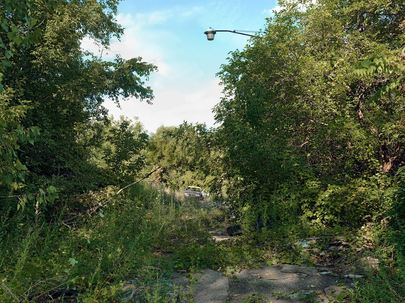 Corner of Reid and Hesse Street, Detroit 2015