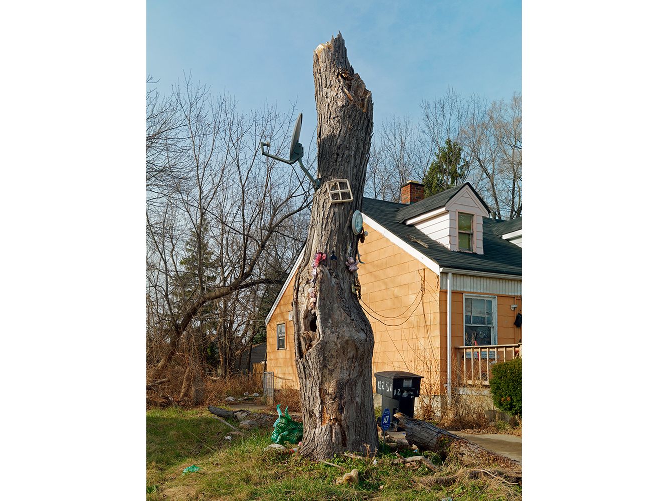 Tree Stump 51, Detroit 2014
