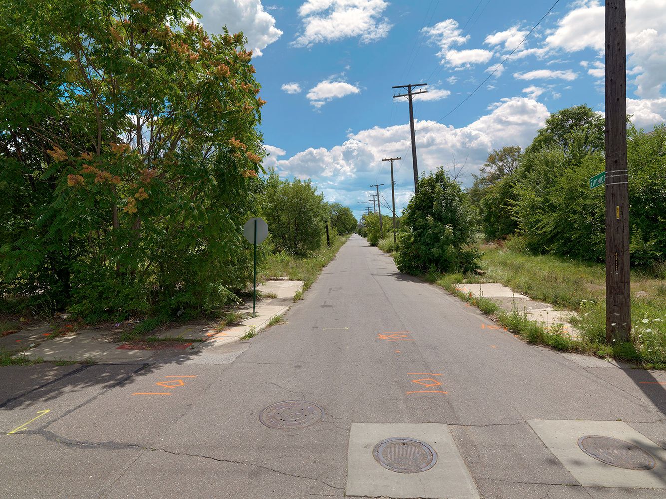 Corner of Elmwood and E. Palmer Street, Detroit 2015