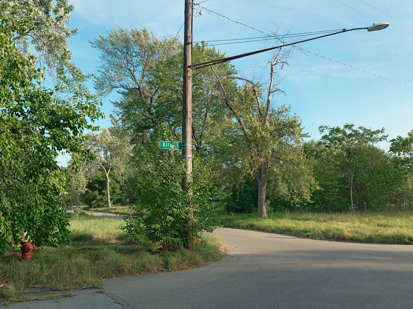 Corner of Kirby and Canton Street, Detroit 2015