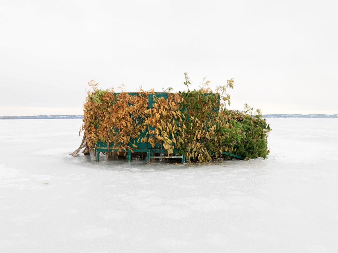 Duck Blind #40, Mississippi River, Northwest Illinois 2008