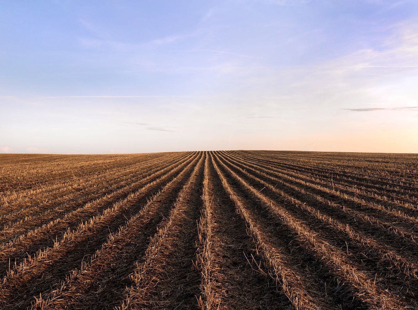 Terra-Caelum, #24, 2010