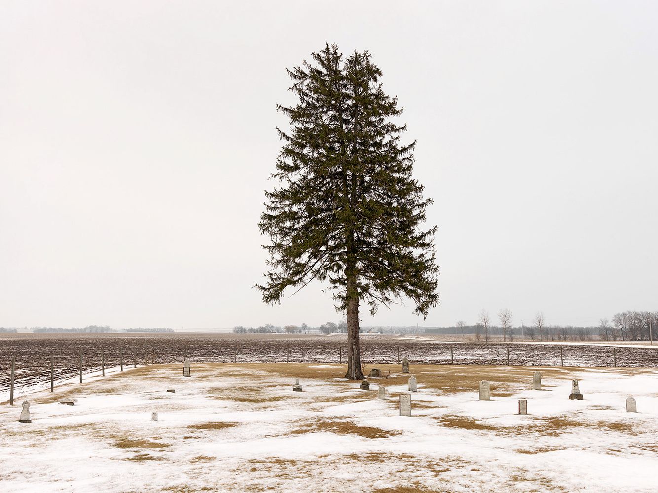 Prairie Grove Cemetery, Eastern Illinois 2011