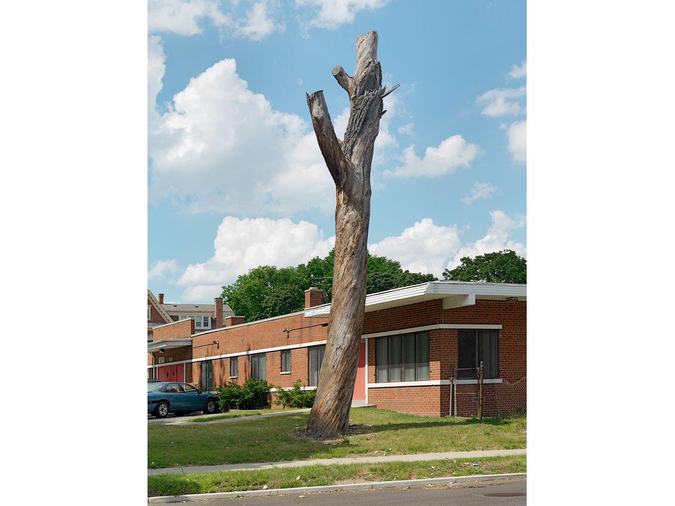 Tree Stump 15, Detroit 2011