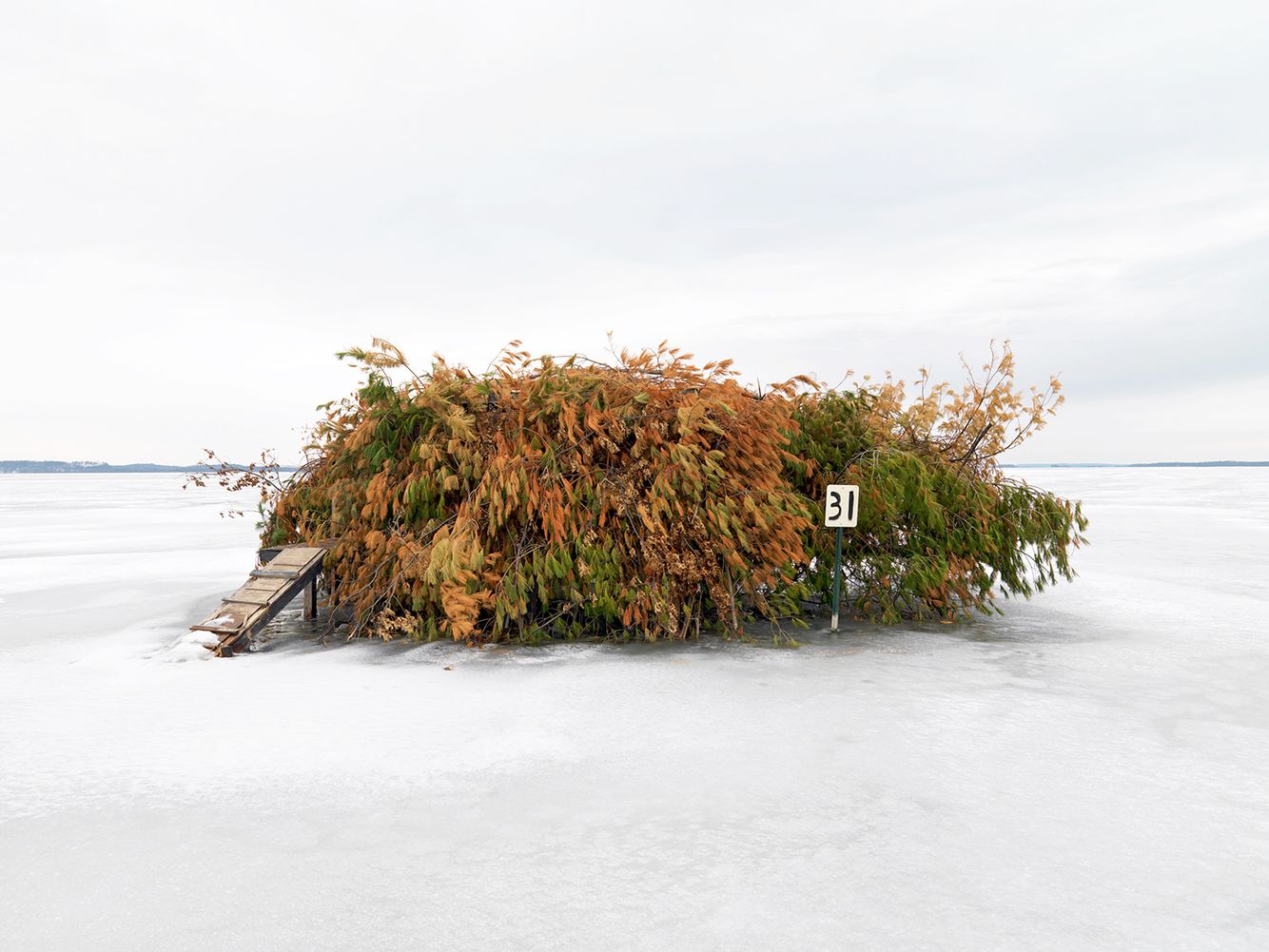 Duck Blind #21, Mississippi River, Northwest Illinois 2008