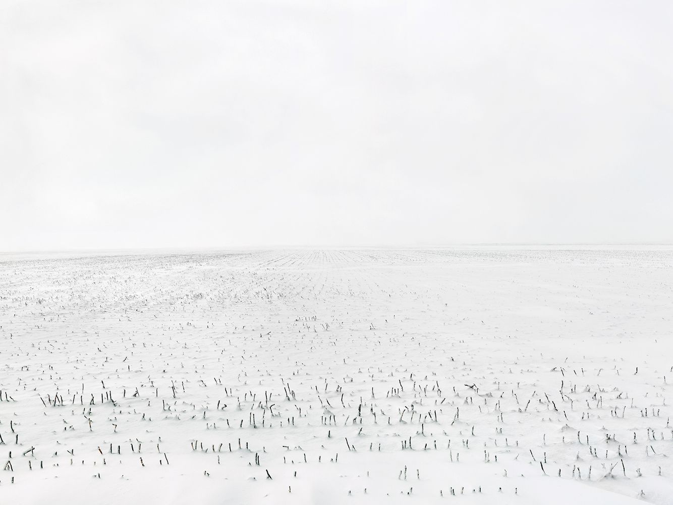 Terra-Caelum, #12, 2008