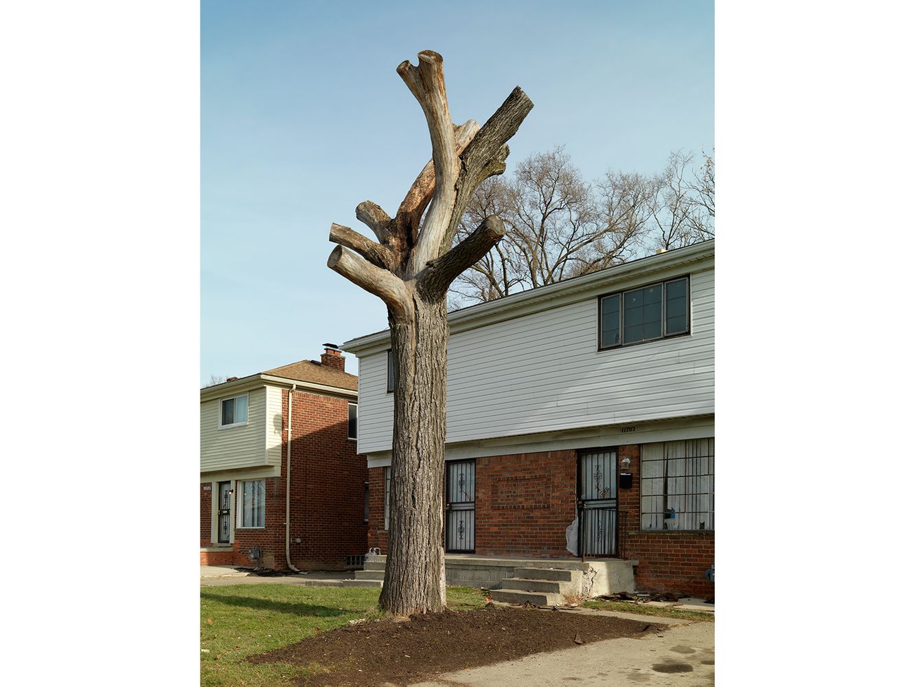 Tree stump 53, Detroit 2014