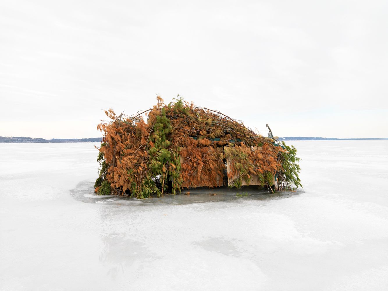 Duck Blind #33, Mississippi River, Northwest Illinois 2008