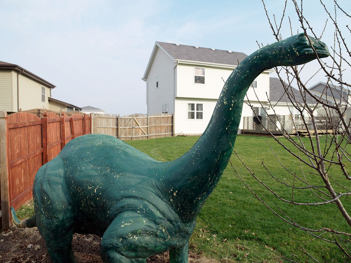 Dino in Backyard, Elwook, IL 2006