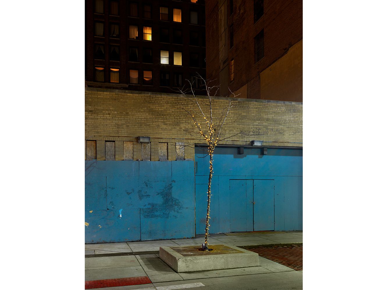 Tree with Holiday Decorations, Capital Park, Detroit 2016