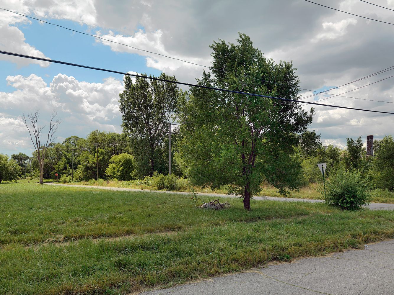 Corner of Ellery and Garfield Street, Detroit 2015