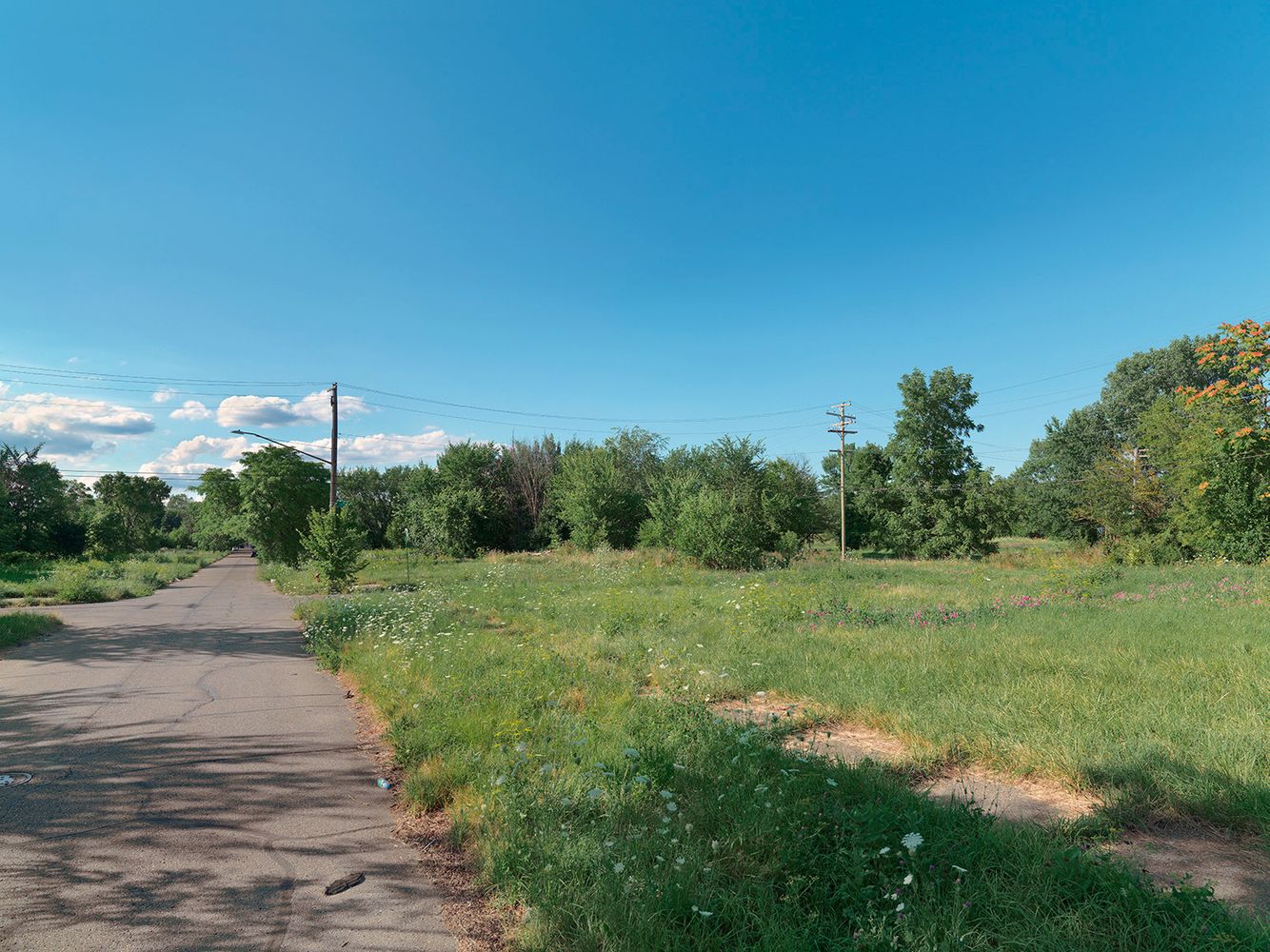 Corner of Lozier and Coplin Street, Detroit 2015