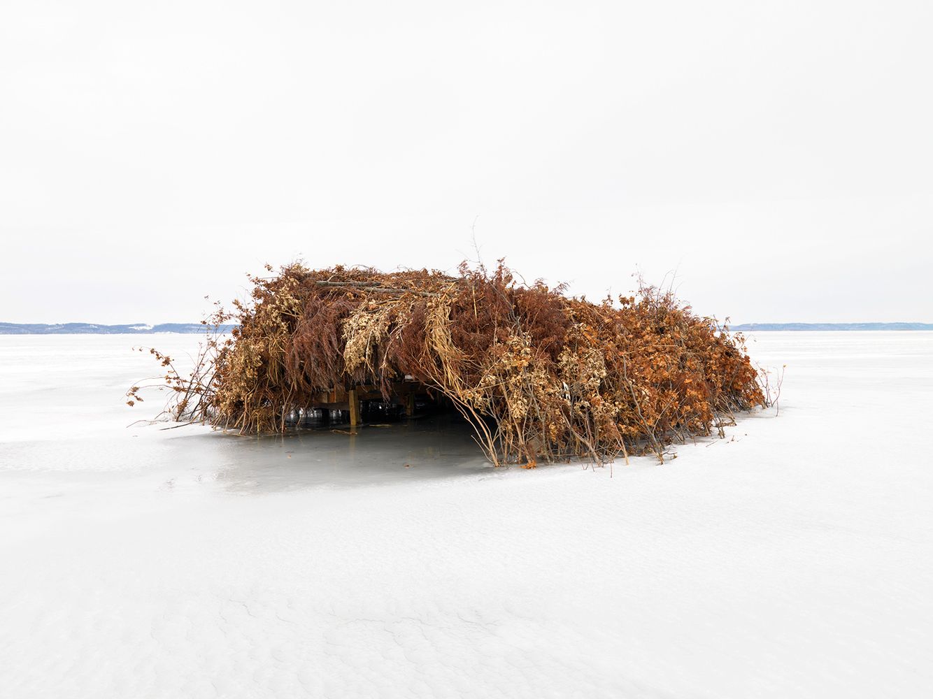 Duck Blind #8, Mississippi River, Northwest Illinois 2008