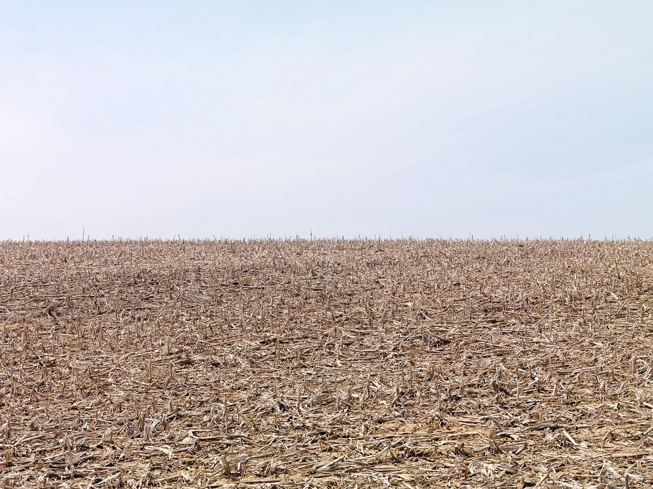 Terra-Caelum, #9, 2009