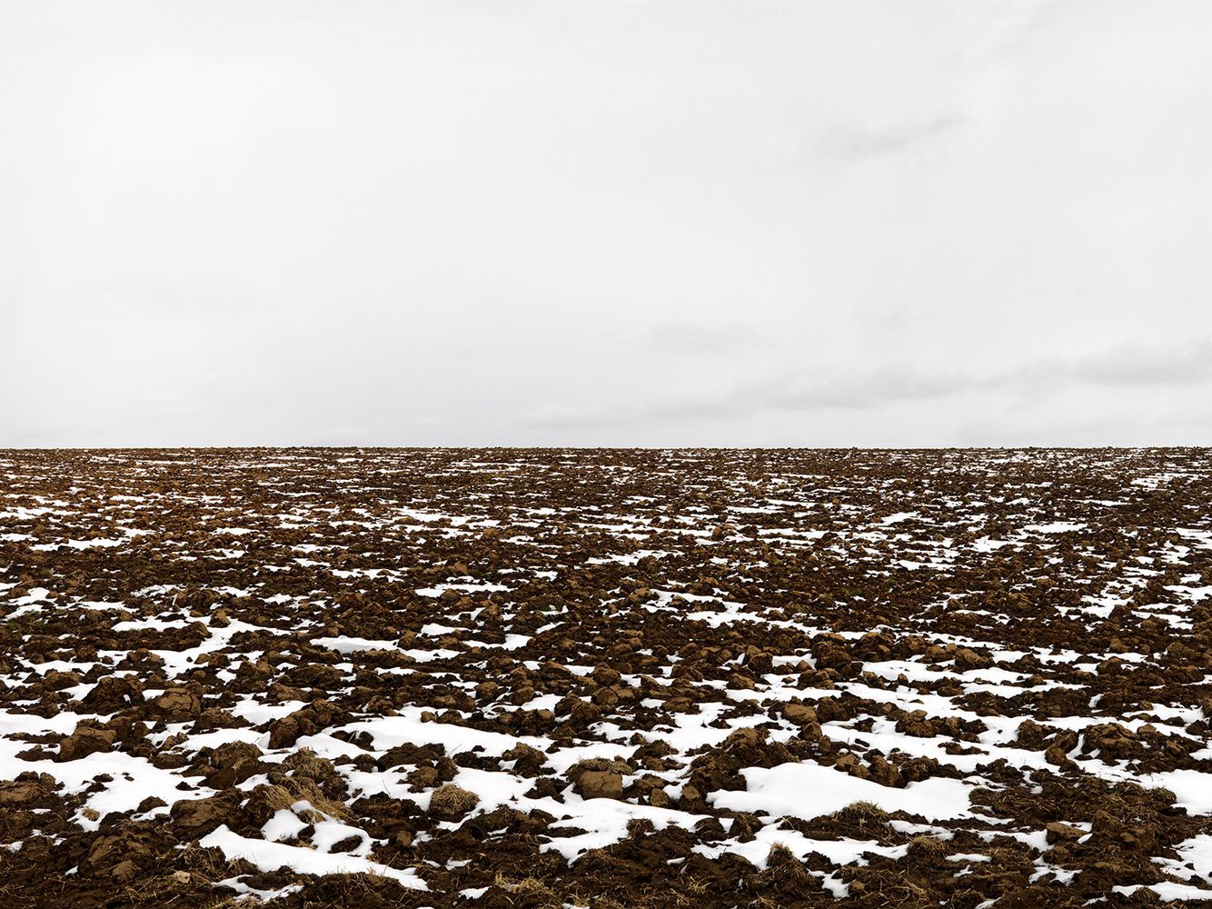 Terra-Caelum, #25, 2010