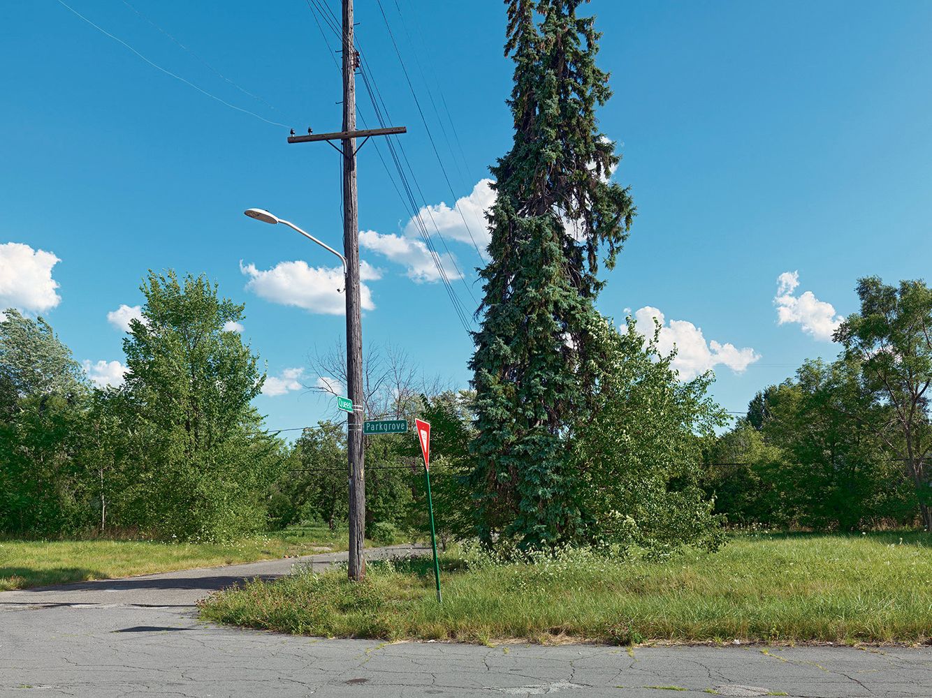 Corner of Queen and Parkgrove Street, Detroit 2015