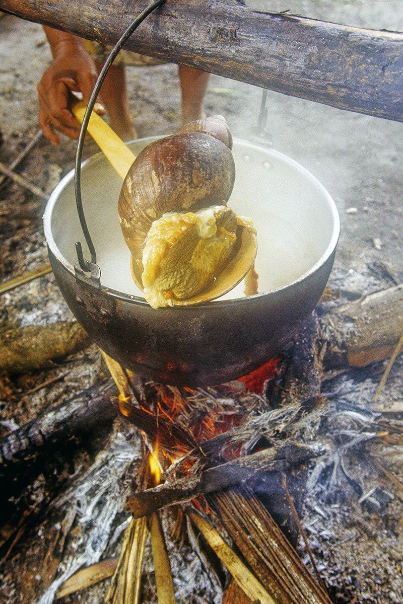 Snail soup