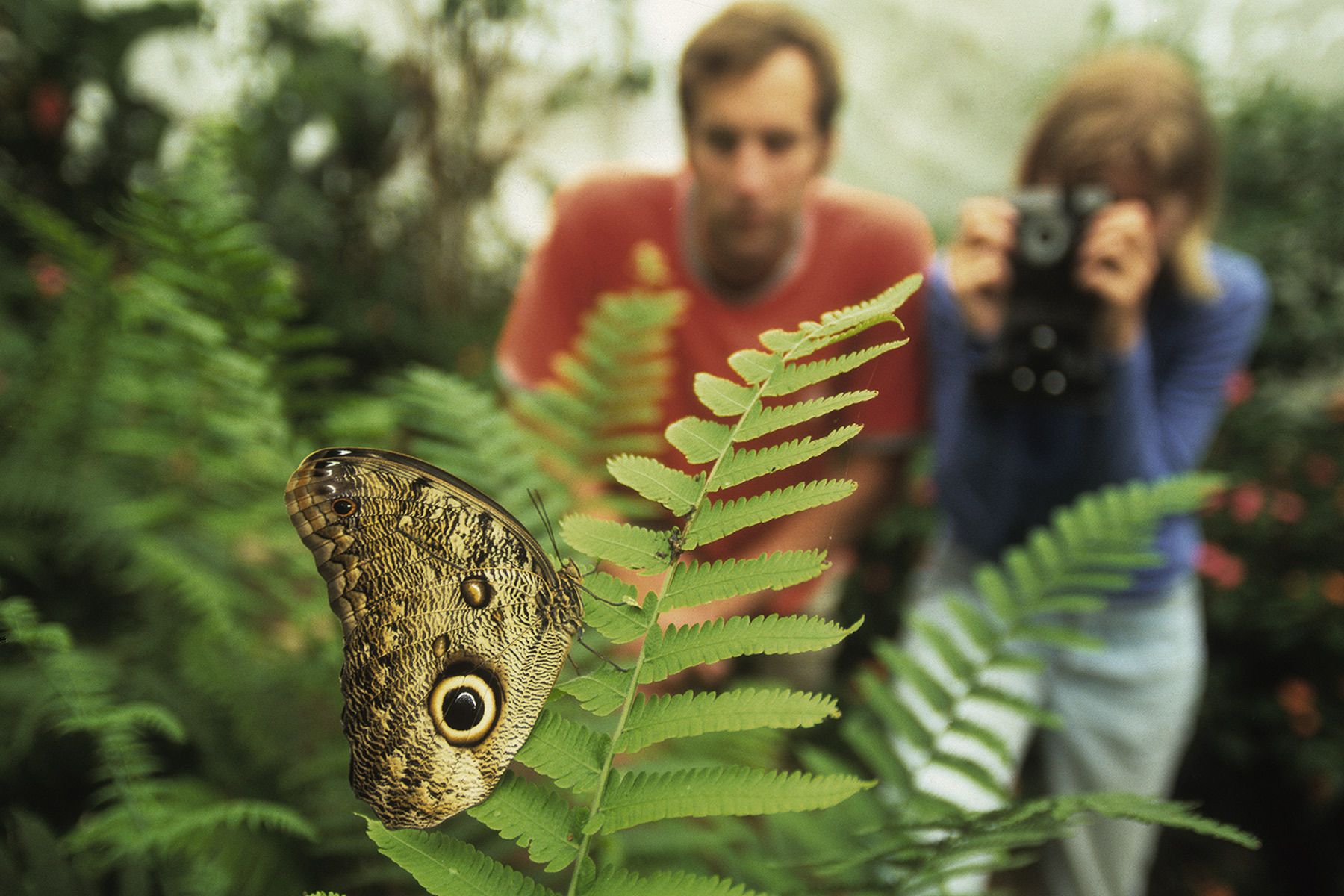 Ecotourism near Mindo, Ecuador