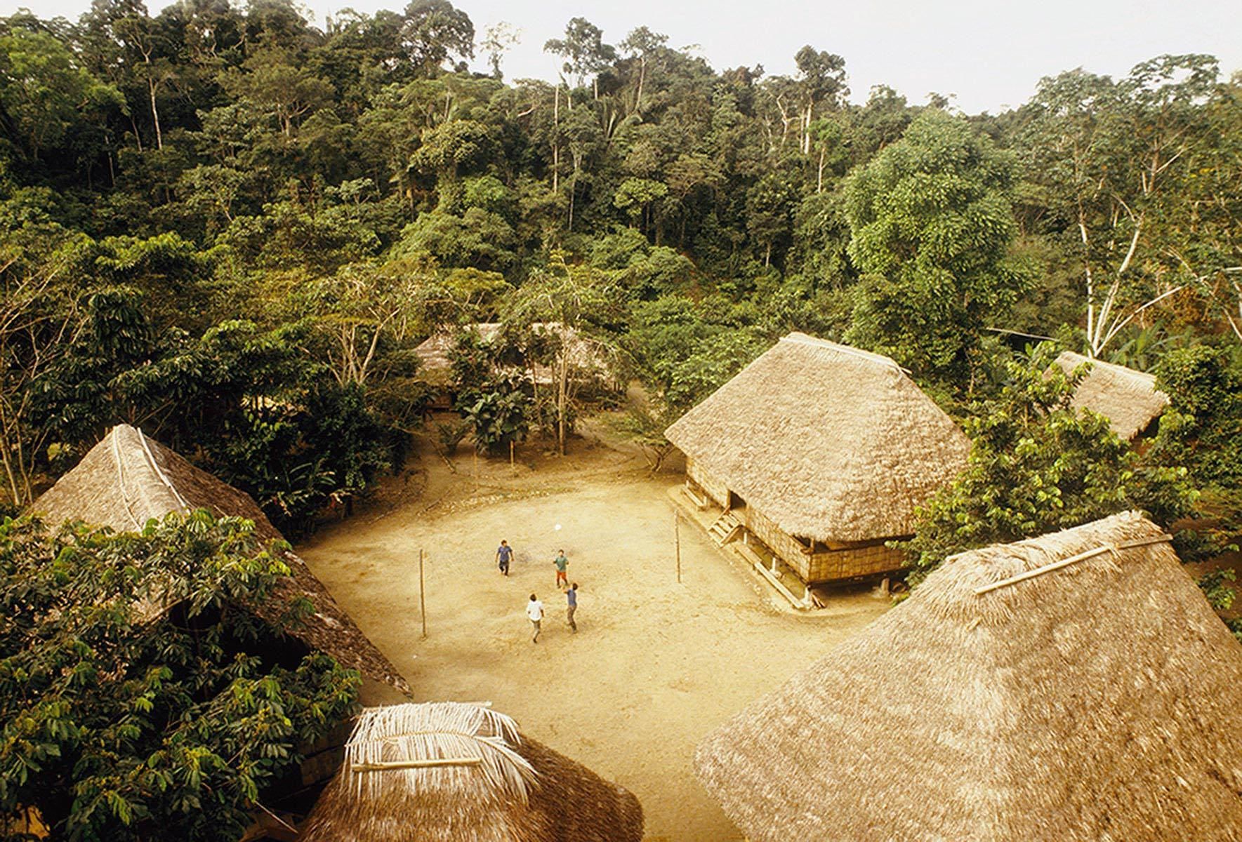 Comunidad Capirona: Leaders in Rainforest Management