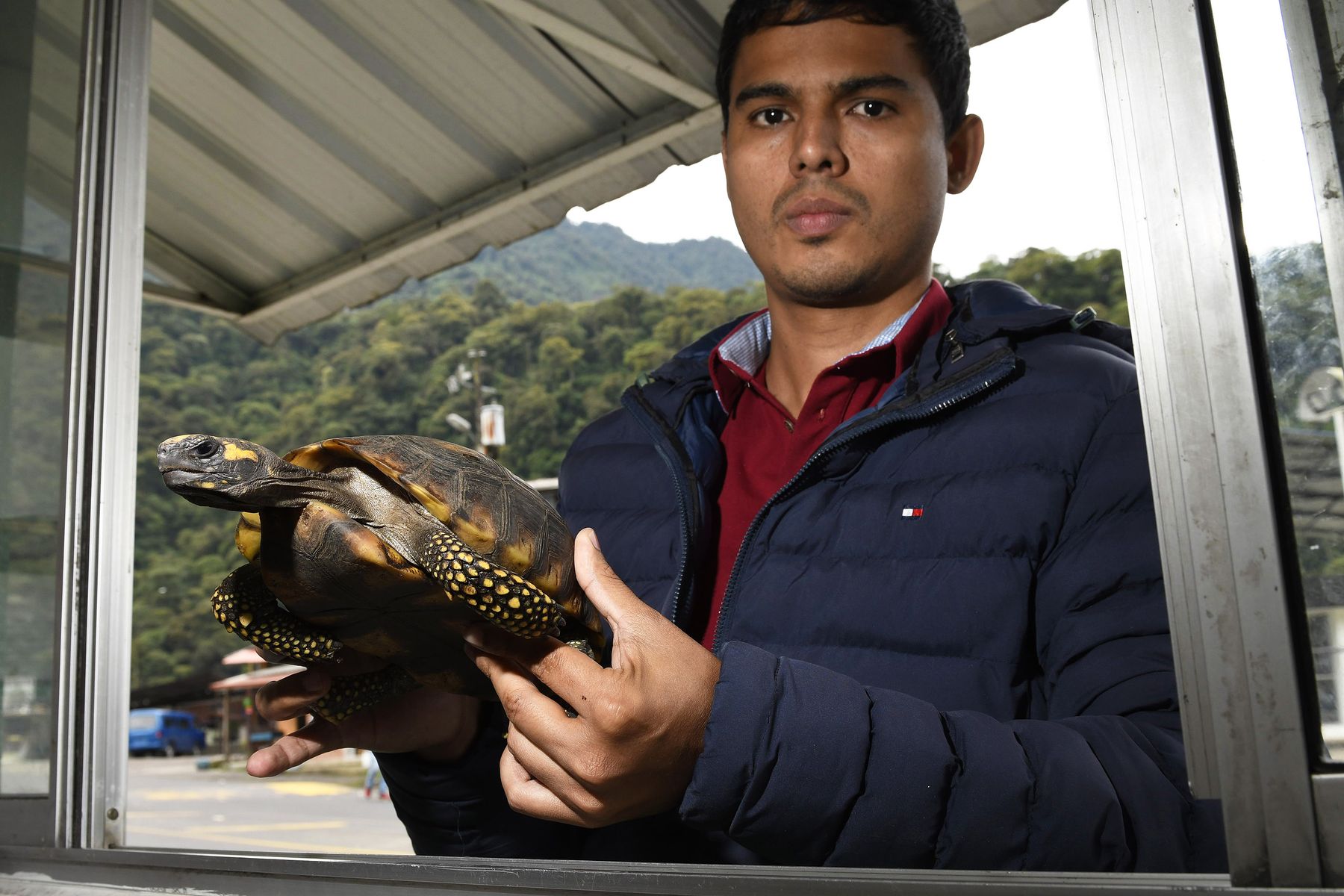 _DSC3137_man-surrenders-tortoise_2752.jpg