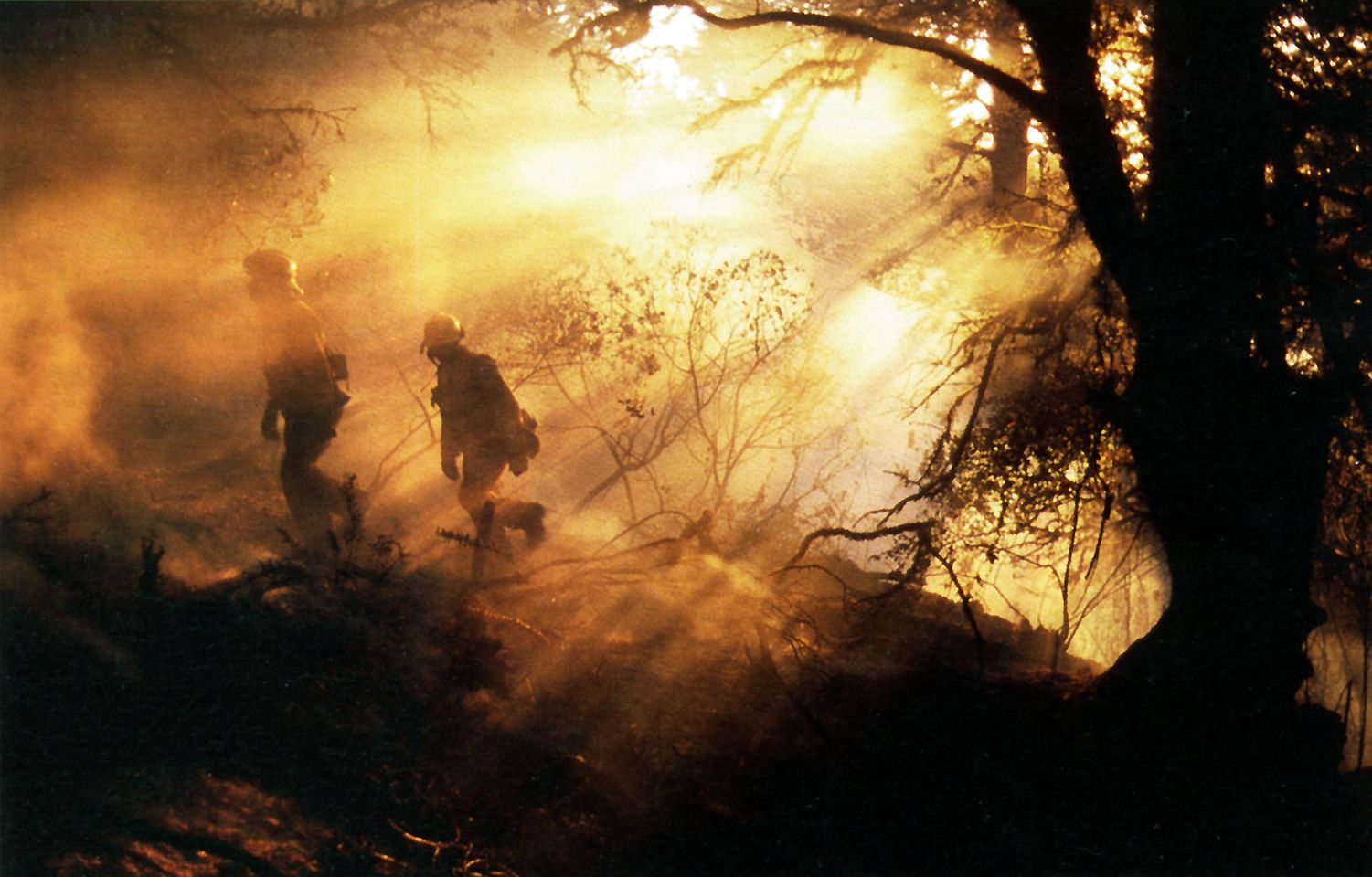 At Point Reyes National Seashore in 1995, I became the photographer for joint multi-agency team that included the NPS, California Department of Foresty and the Army Corps of Engineers.I photographed these two firefighters as they left a fire zone.