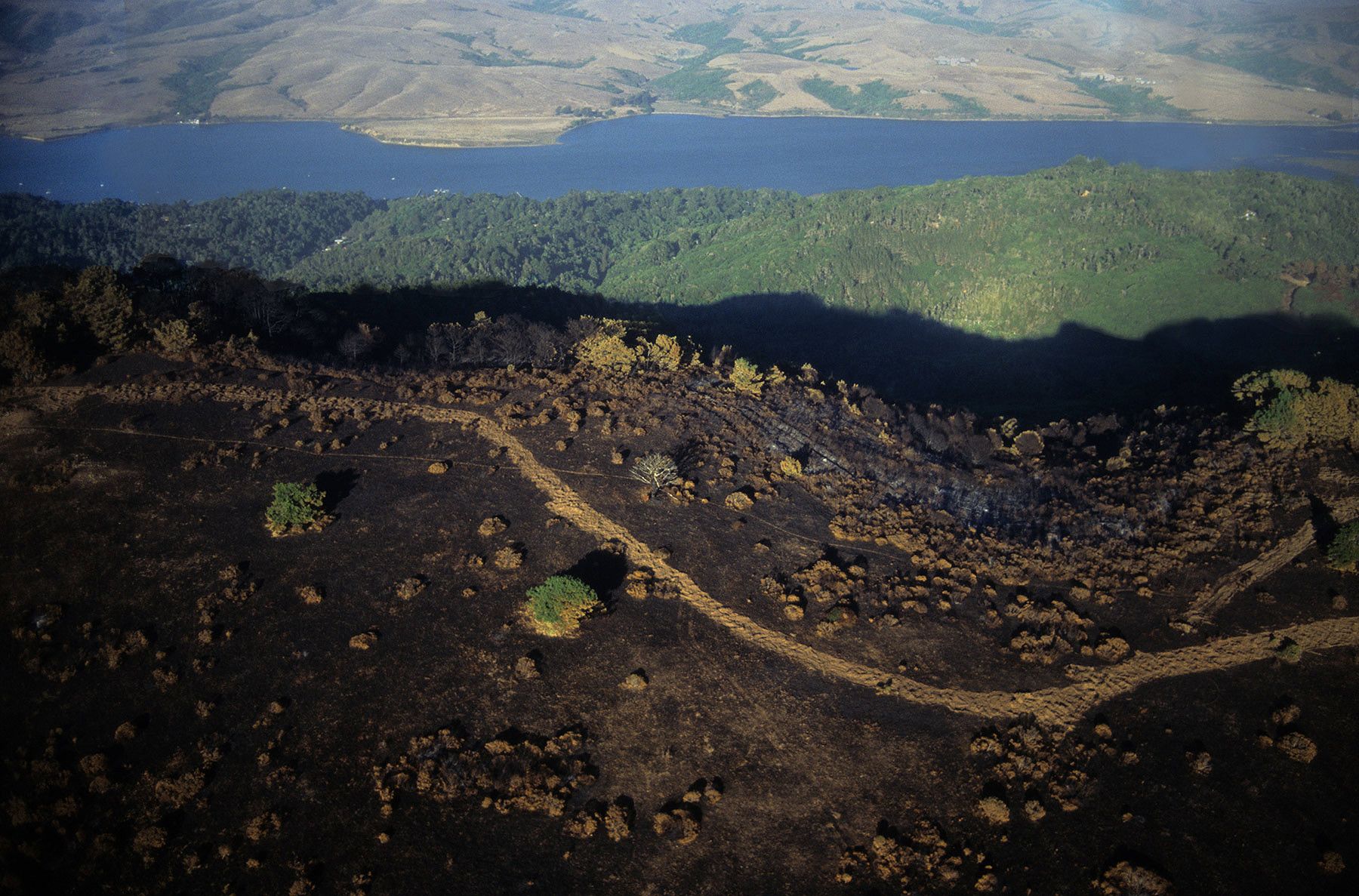 Vision fire origin site, Point Reyes National Seashore