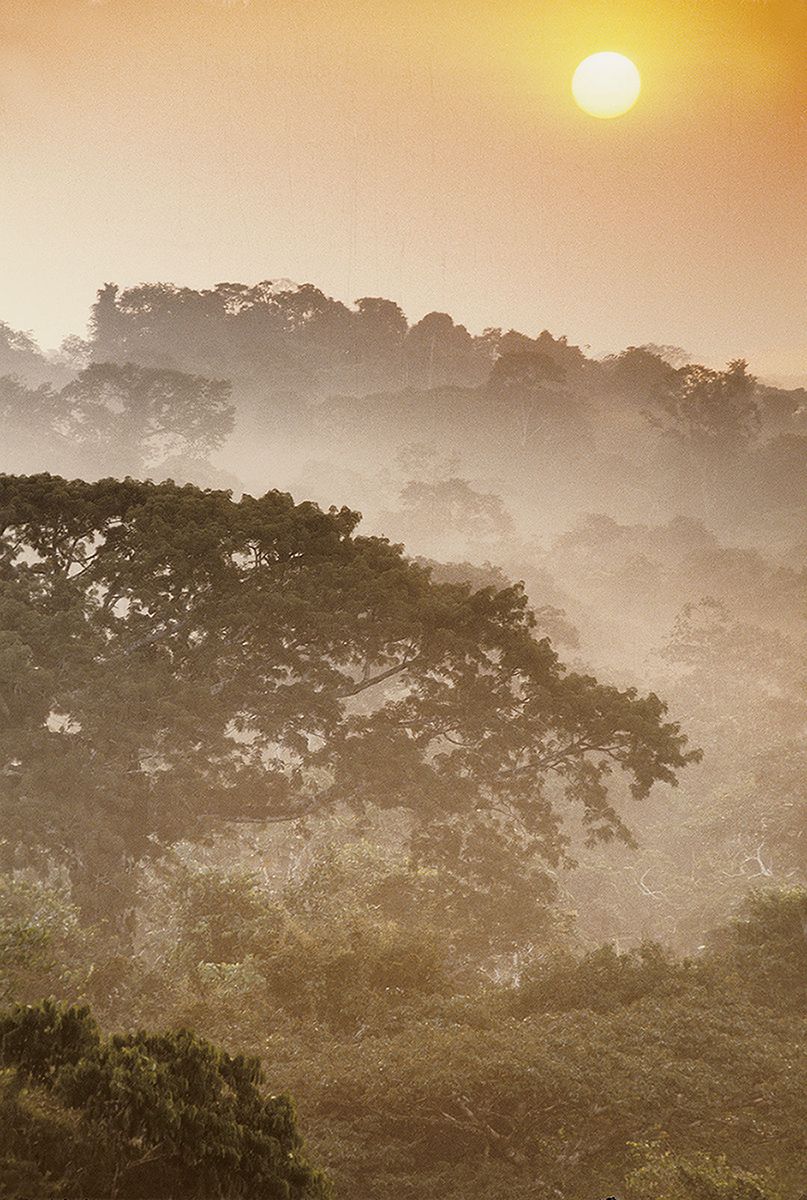 Sunset over Yasuni National Park and UNESCO Man & the Biosphere Reserve, Amazonian Ecuador