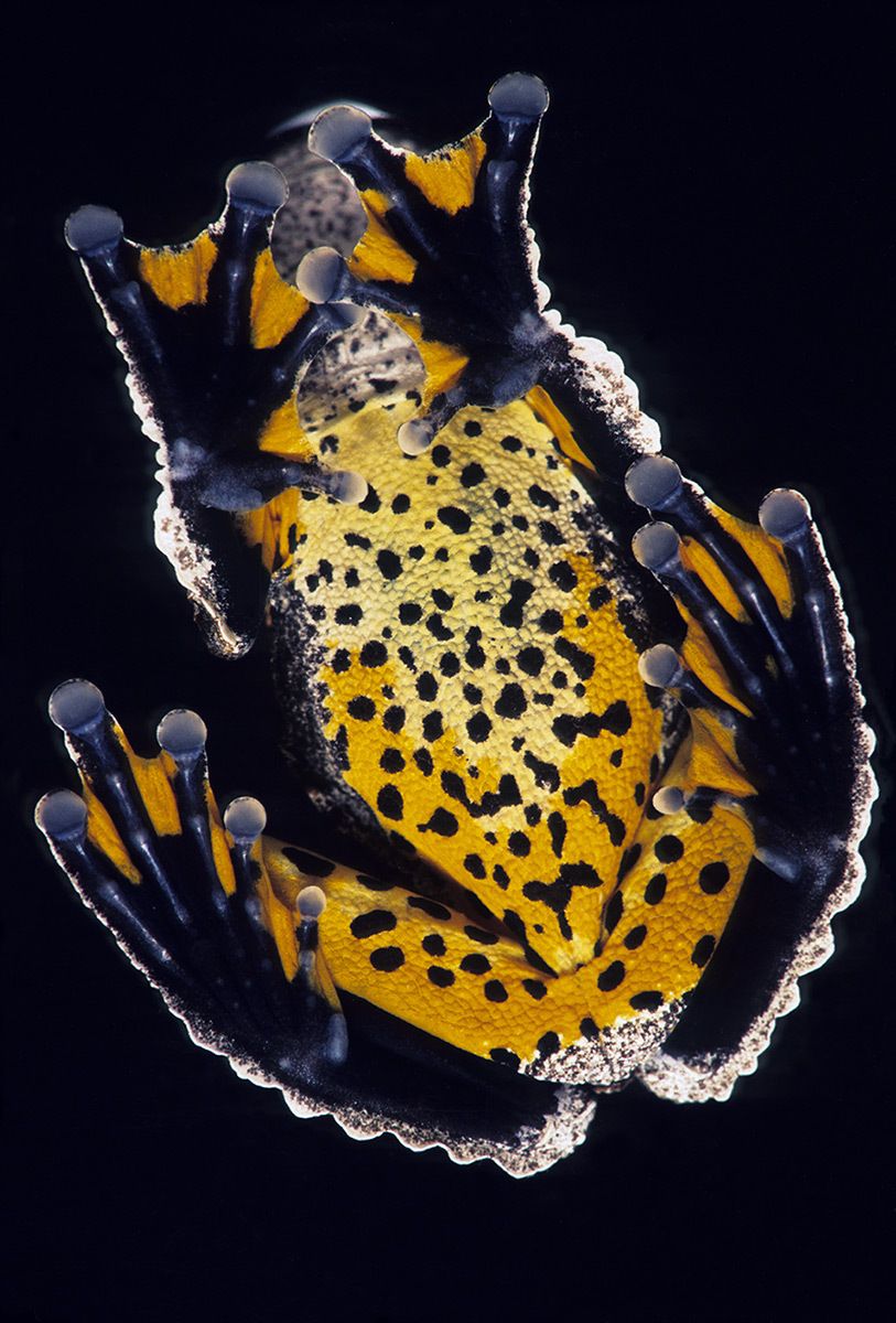 View from below