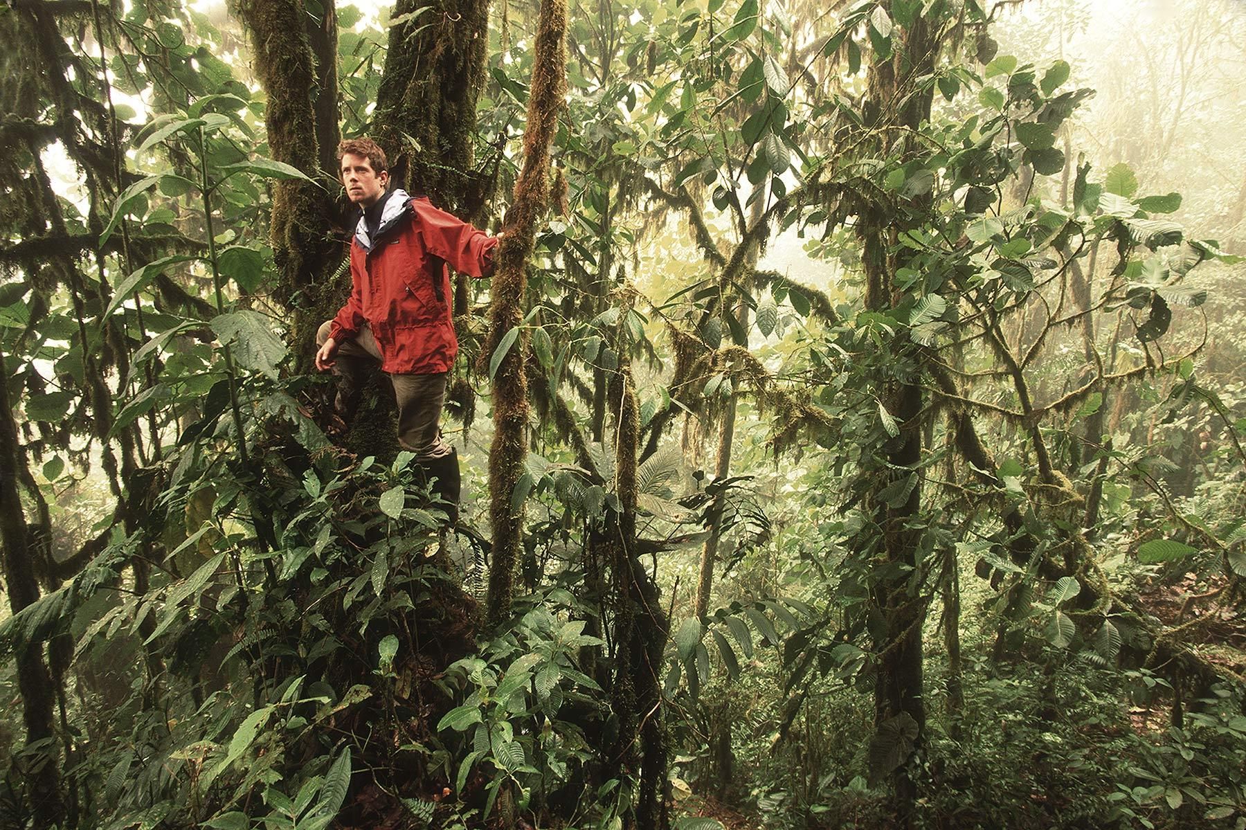 Otonga Cloud Forest Reserve
