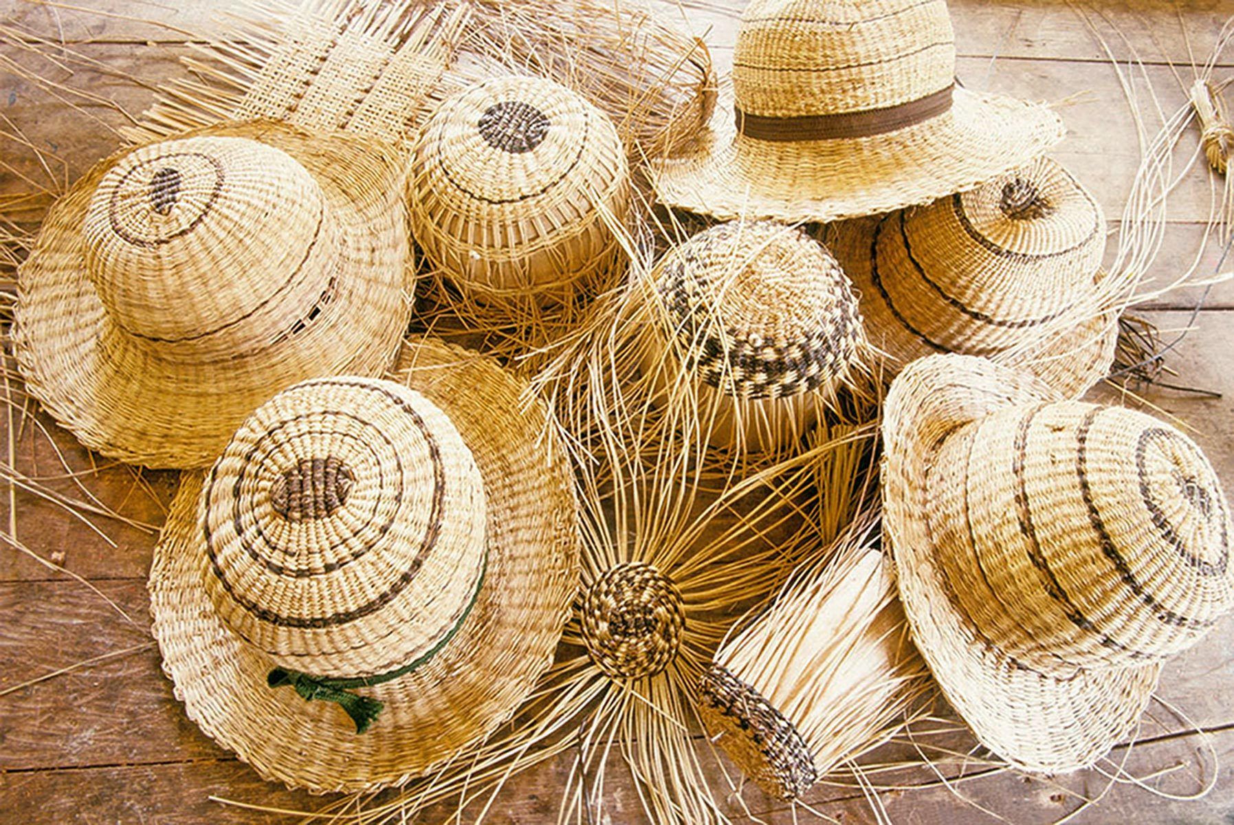 Hats off to rainforest conservation