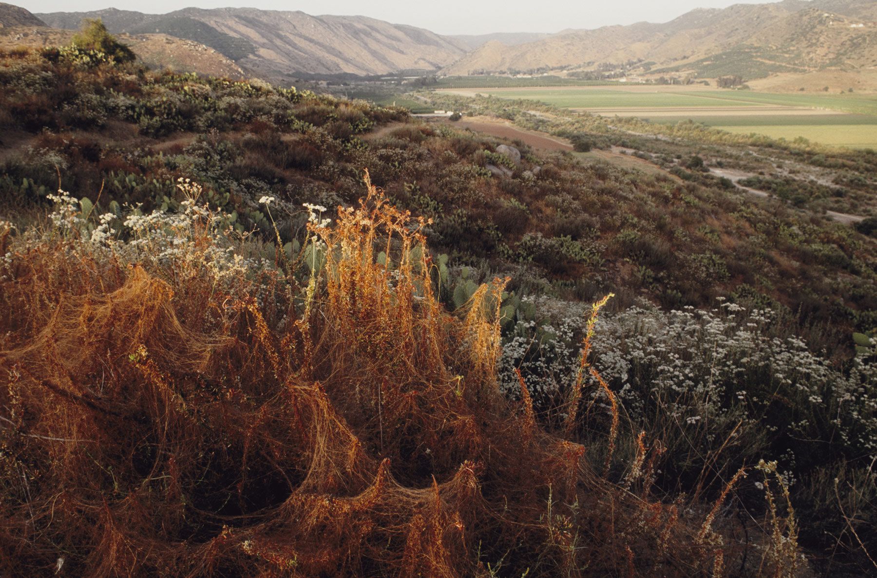 San Pasqual Valley