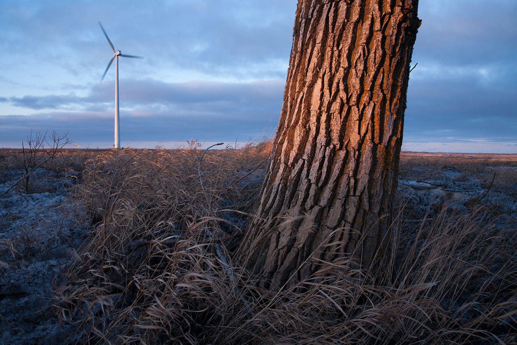 Investigating alternative energy