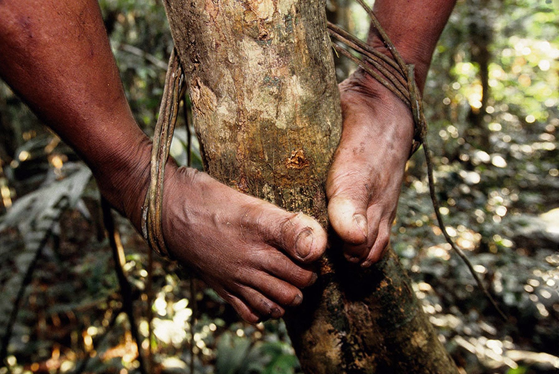 Sustainable Contact with Indigenous Communities