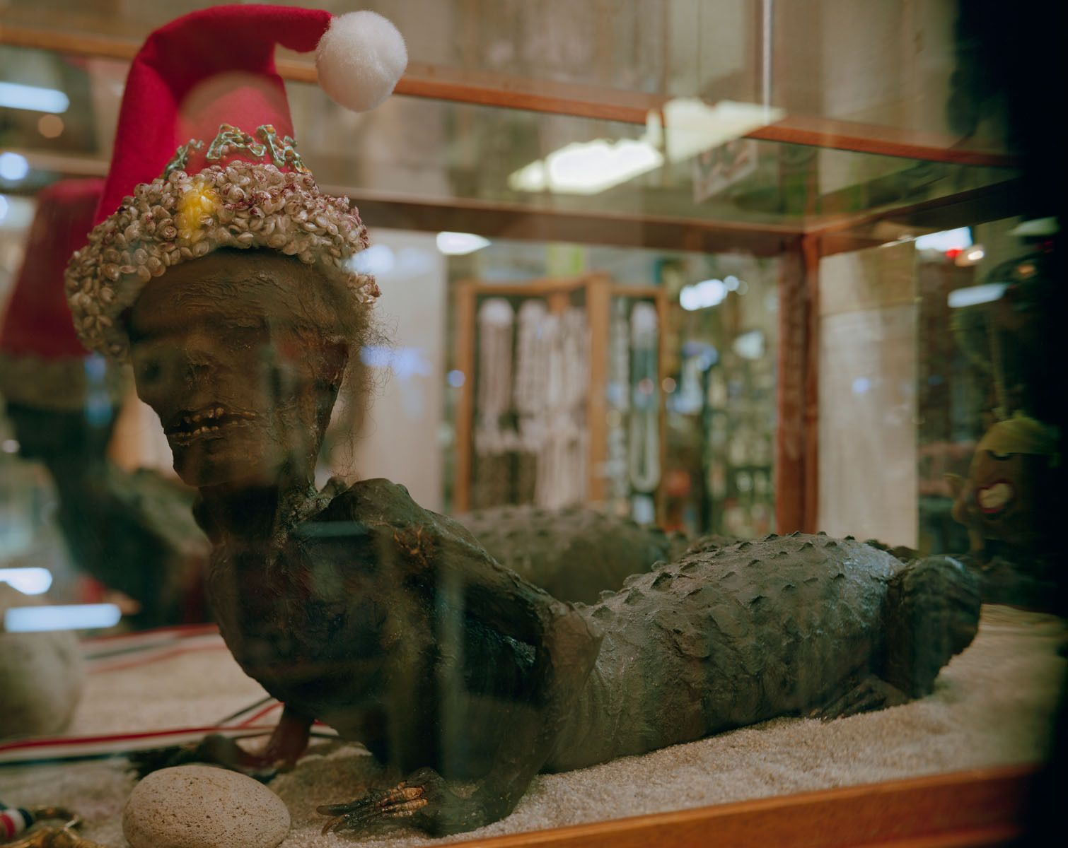 1jake_the_alligator_man_web