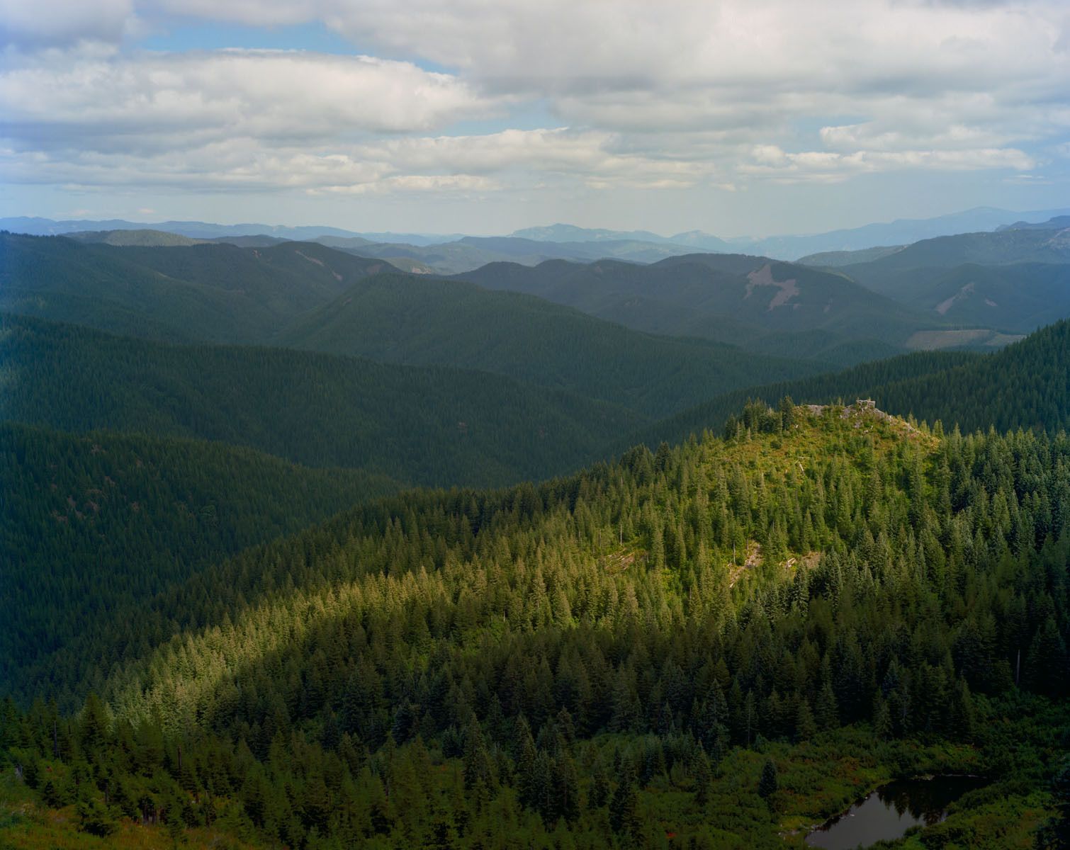 The Yacolt Burn was the worst wildfire in Washington’s history and killed 38 people.  The 250,000 acres that burned are no longer visible in this contemporary photograph and over a century later there is essentially no evidence remaining due to the natural regeneration of the area. 1902 Yacolt Burn, Washington-107 Years Later