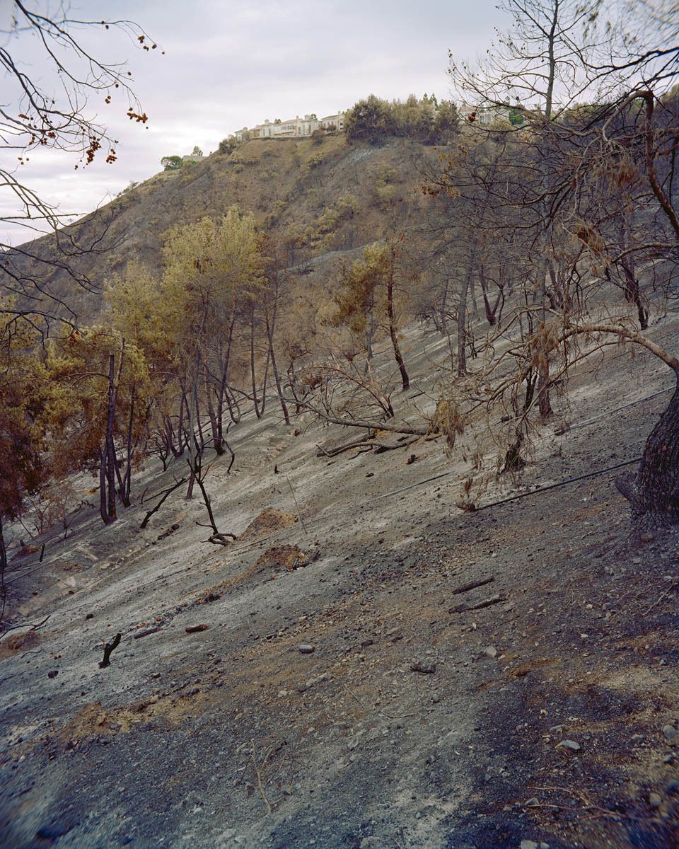 This hillside descends to the I-405 freeway near the Getty Center in Los Angeles, a metropolitan area particularly prone to wildfires.  Western sprawl cities encroach upon the Wildland Urban Interface and disrupt the natural cycles of fire.  The necessary efforts to save human life and property often result in excess fuel (vegetation) build up which in turn creates more intense fires. Los Angeles, CA