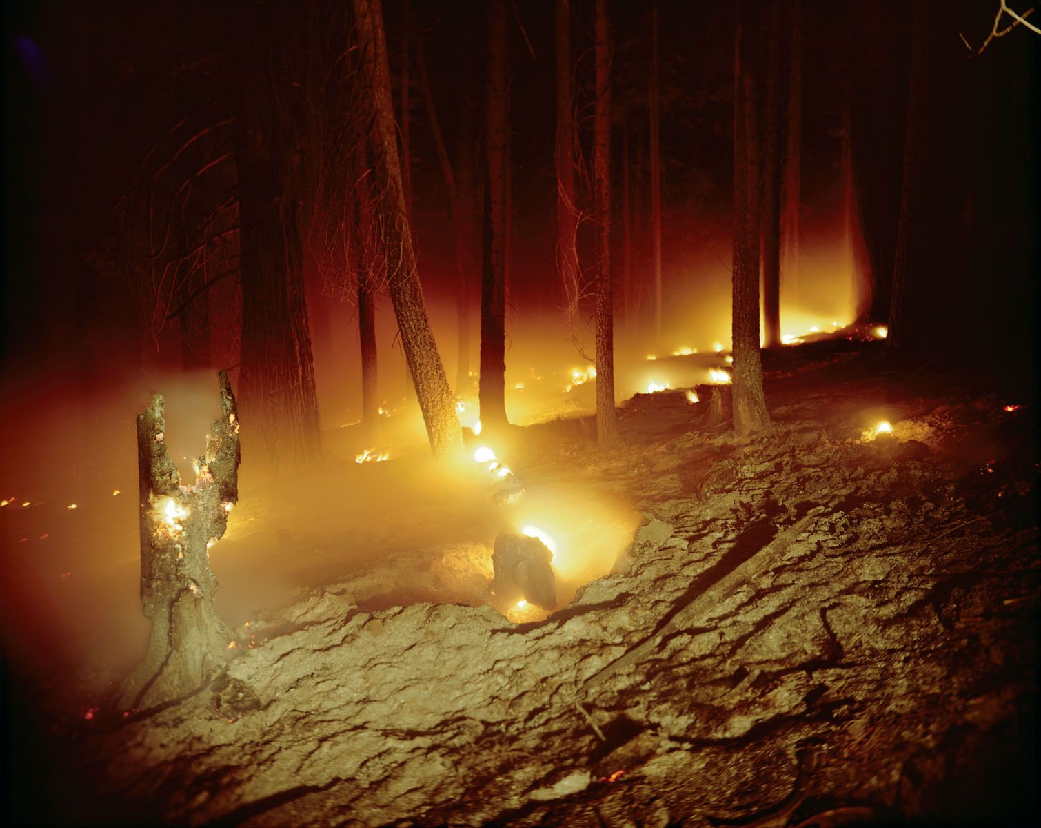 I photographed this prescribed burn in Yosemite on a moonless night in which only the flames provided any sense of illumination.  Prescribed Burns mimic the 16,000 acres the park should naturally lose to wildfires each year.  At night, the atmosphere is surreal. Yosemite National Park, California