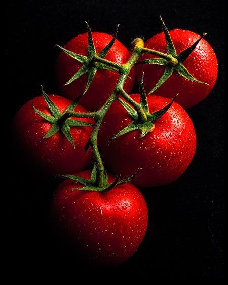 1tomatoes_2.jpg