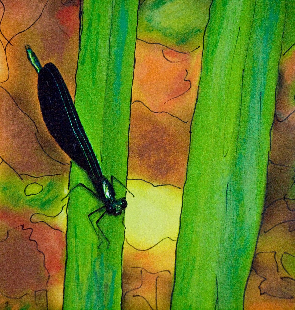 Ink & Pastel Over Photograph
Woodstock, NY Damselfly On Leaf  Mixed Media Photograph