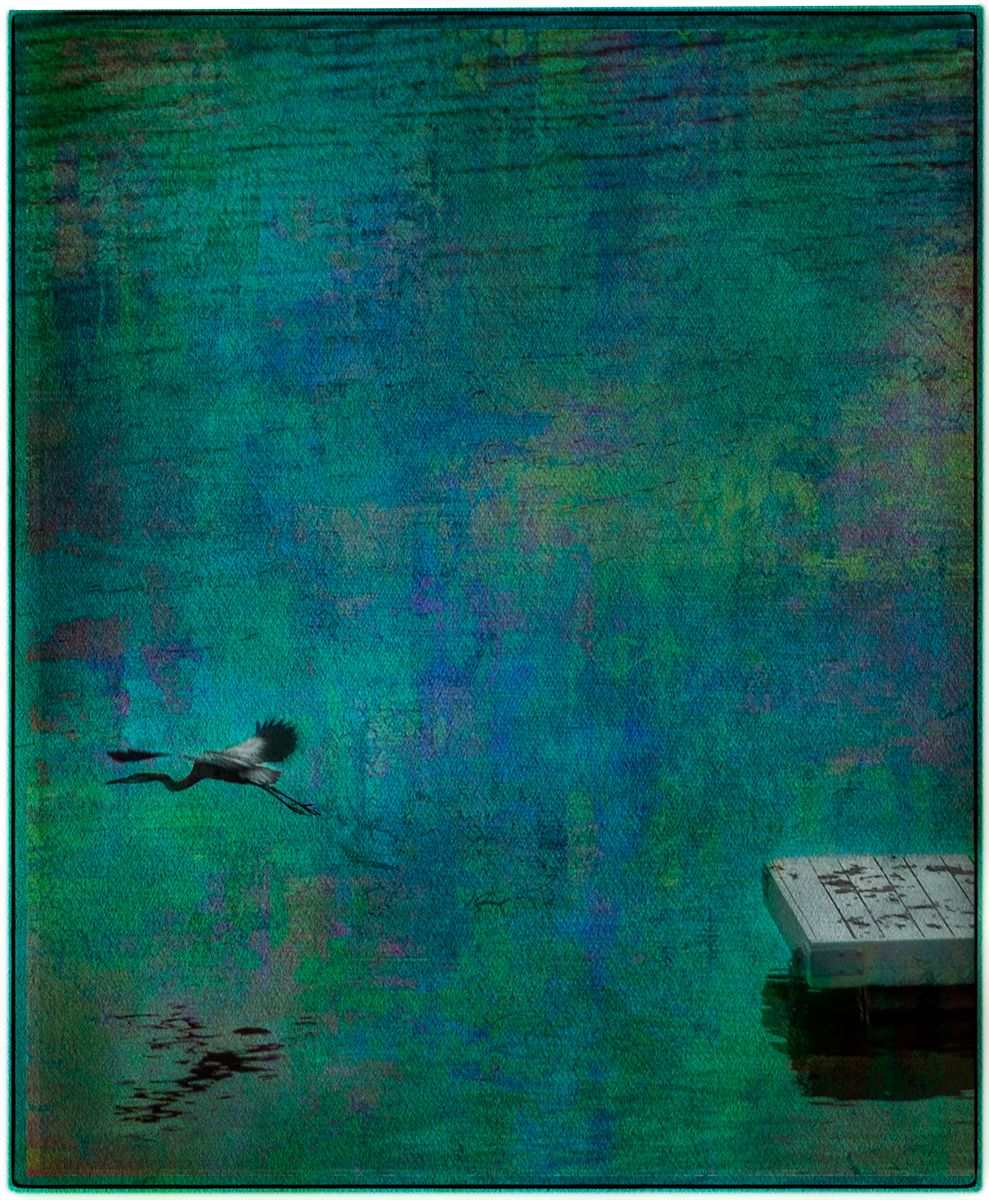 Lake Waramaug, Connecticut Blue Heron In Flight