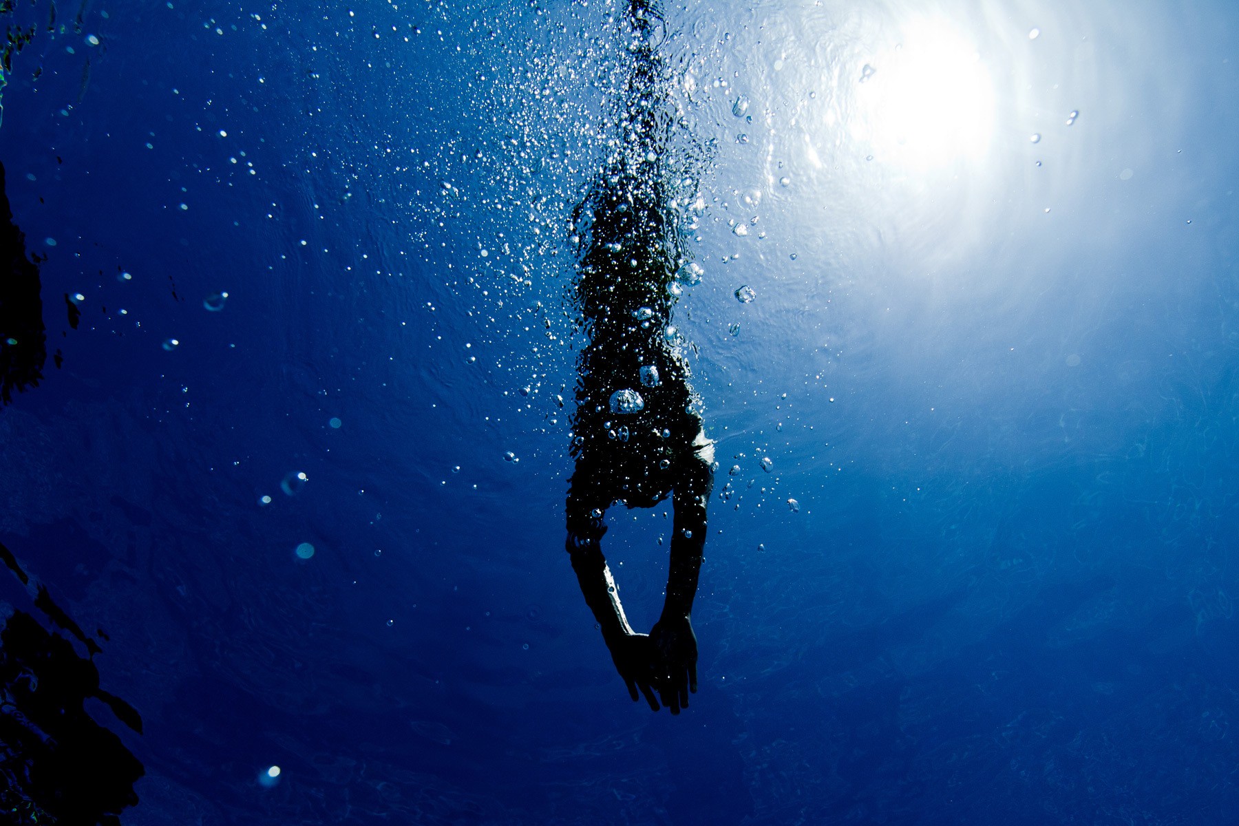 1swimming_diving