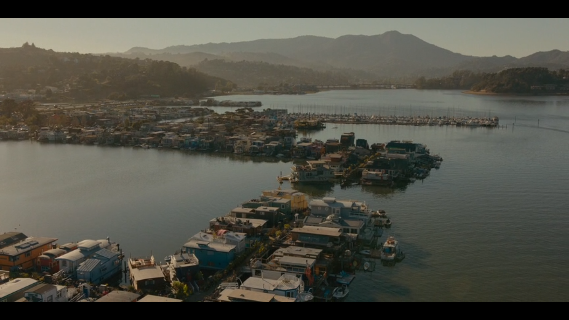 Screen Shot 2024-08-16 at 2.37.01 PM (3).png