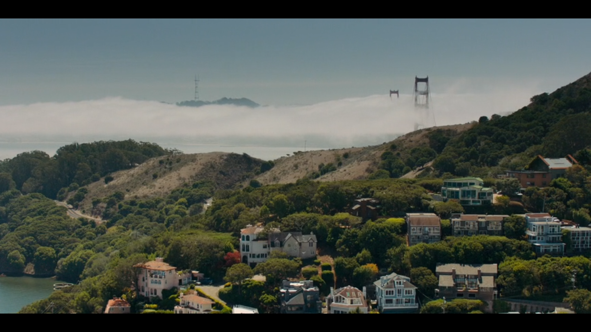 Screen Shot 2024-08-16 at 2.15.59 PM (3).png