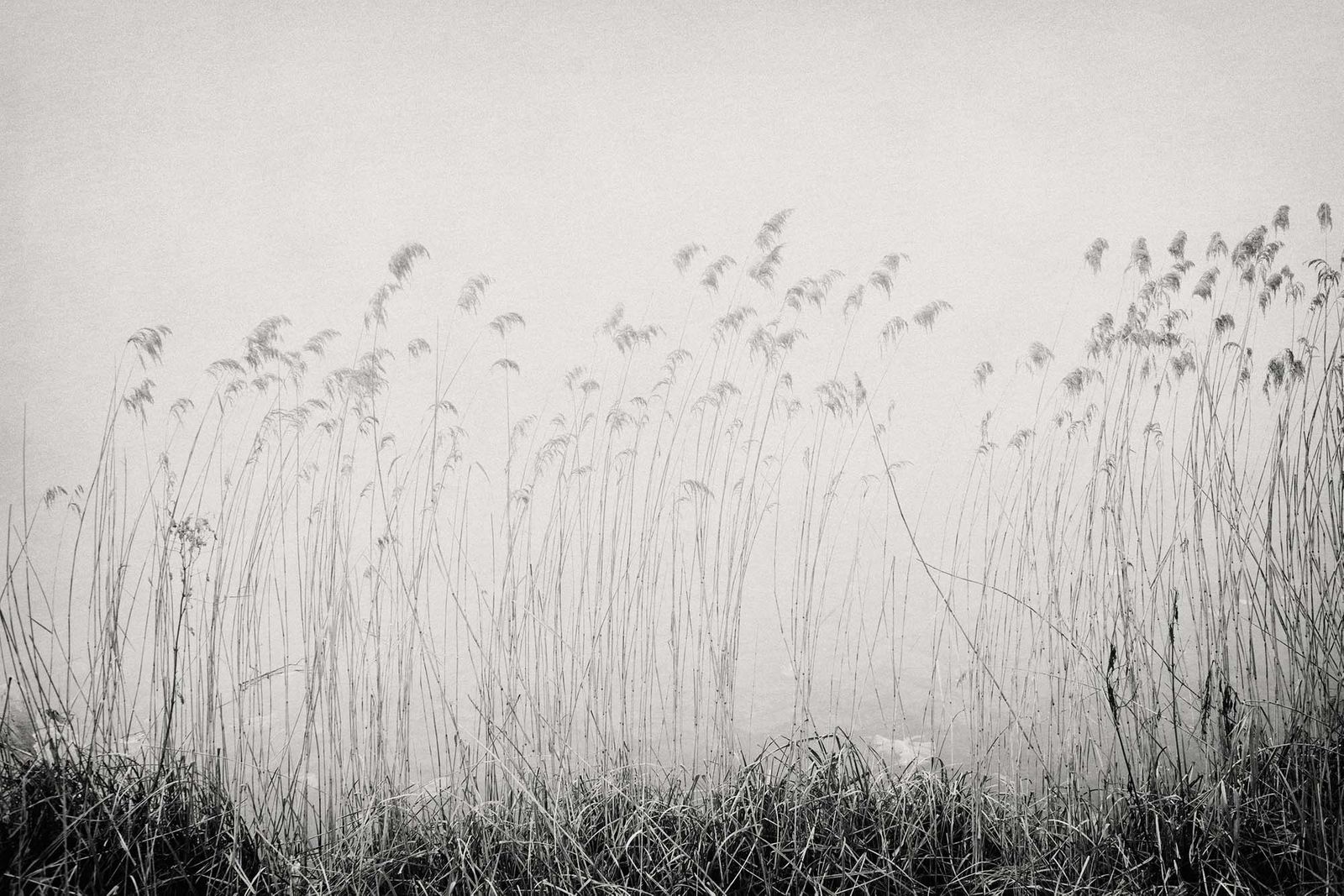 10_landschap_robertpeekfotografie