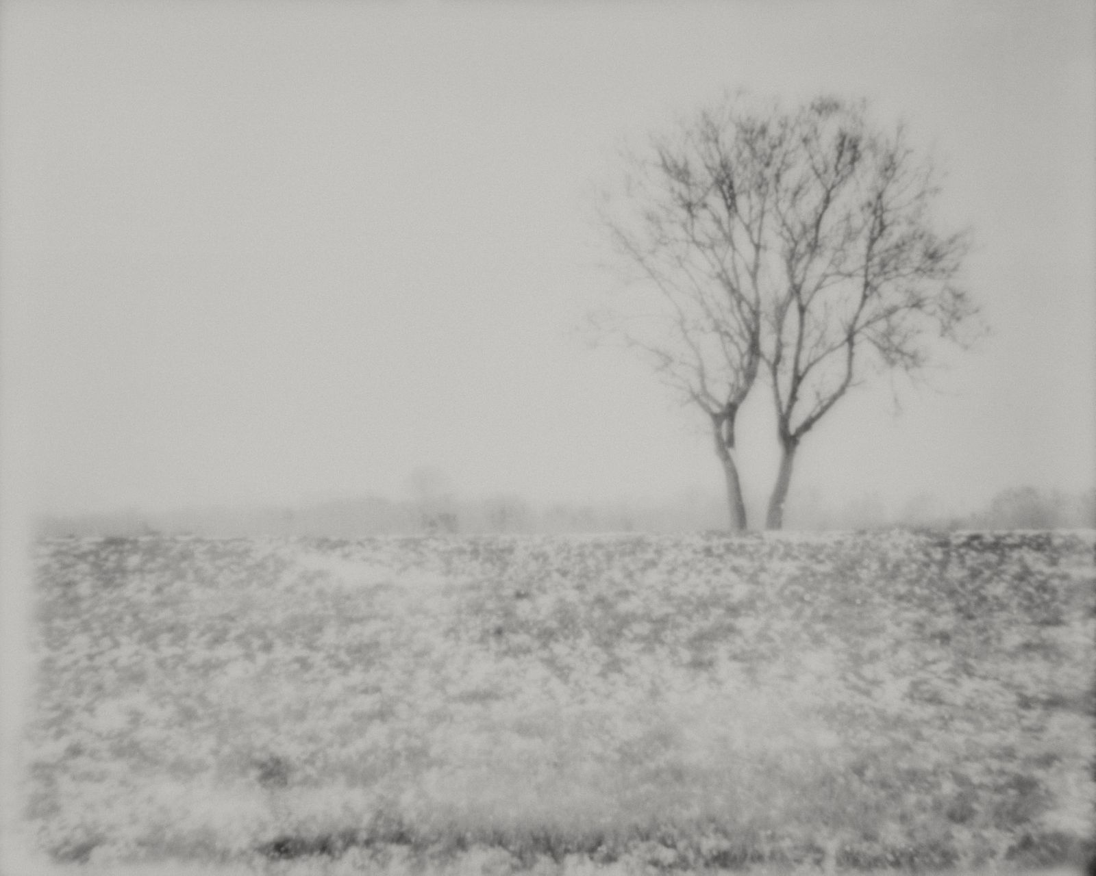 11_landschap_robertpeekfotografie