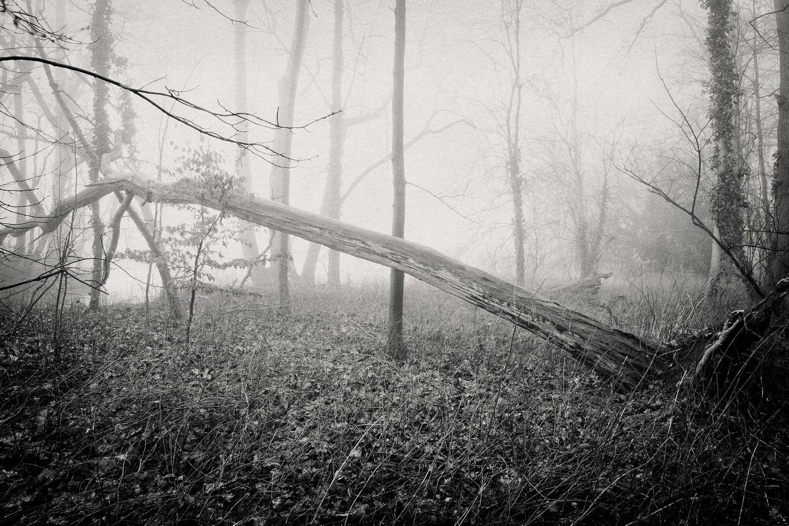 08_landschap_robertpeekfotografie