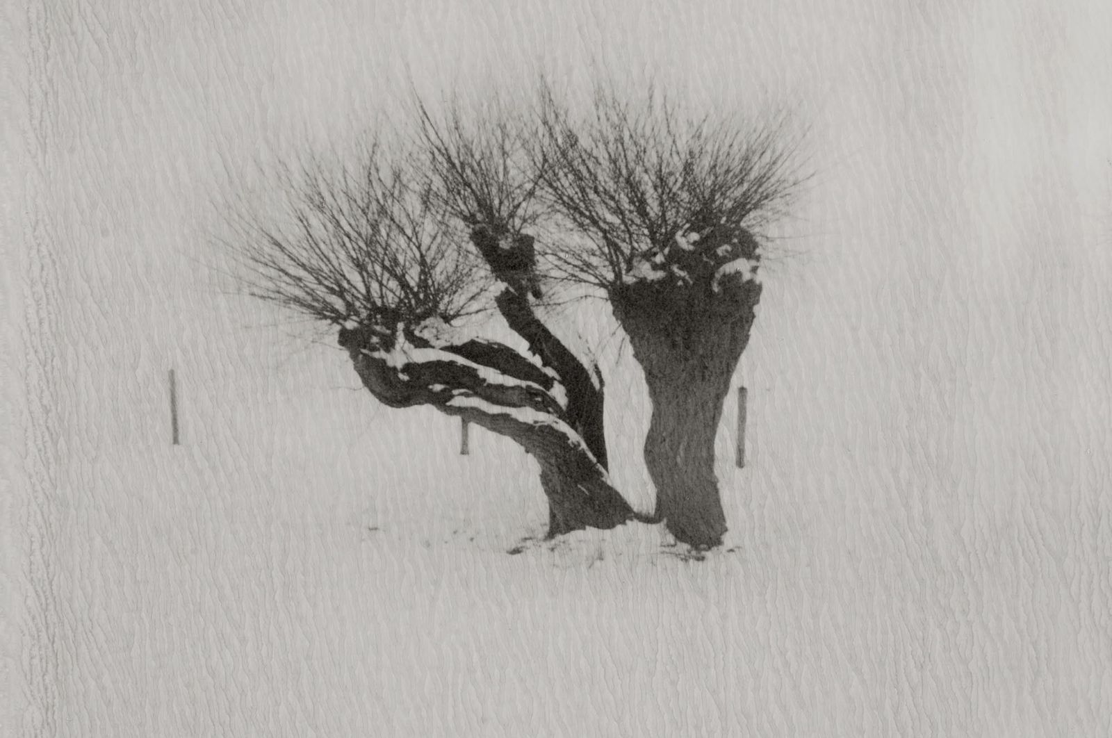 41_landschap_robertpeekfotografie