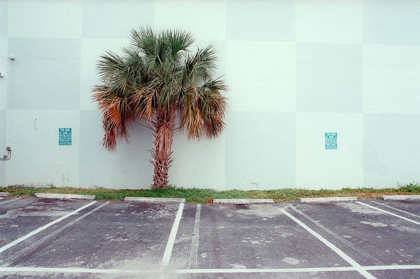 Fotografie Florida-Miami